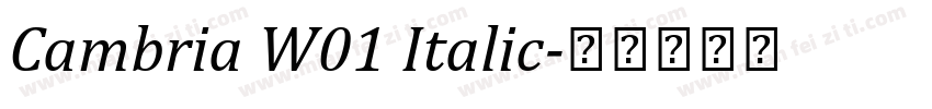 Cambria W01 Italic字体转换